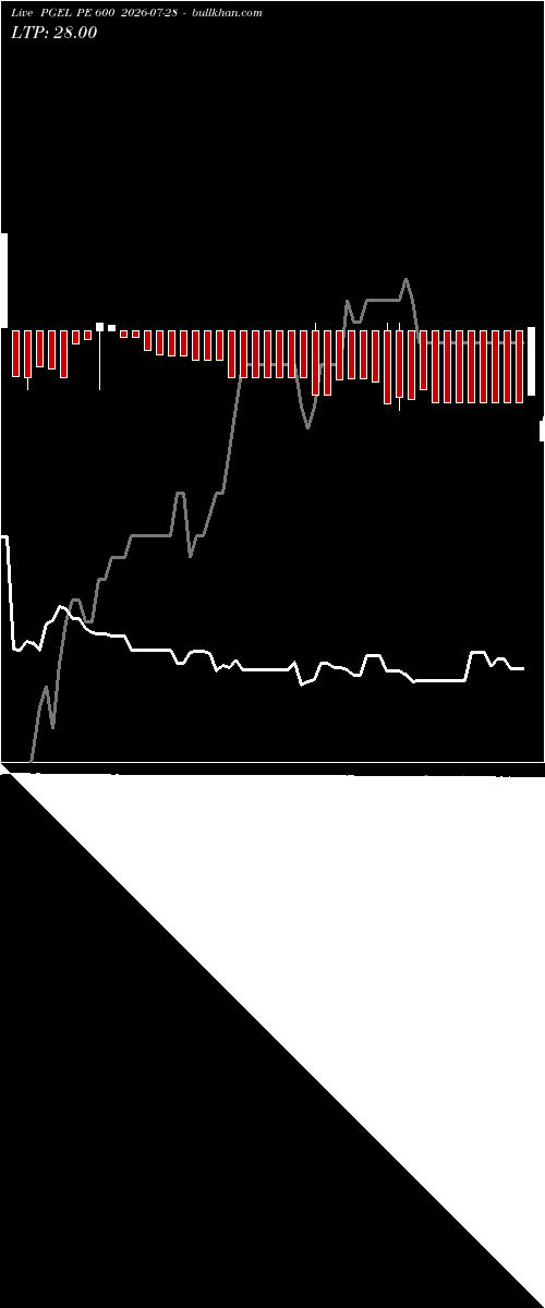  option chart PGEL PE 600 2026-07-28 