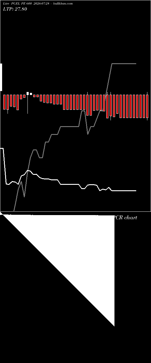  option chart PGEL PE 600 2026-07-28 