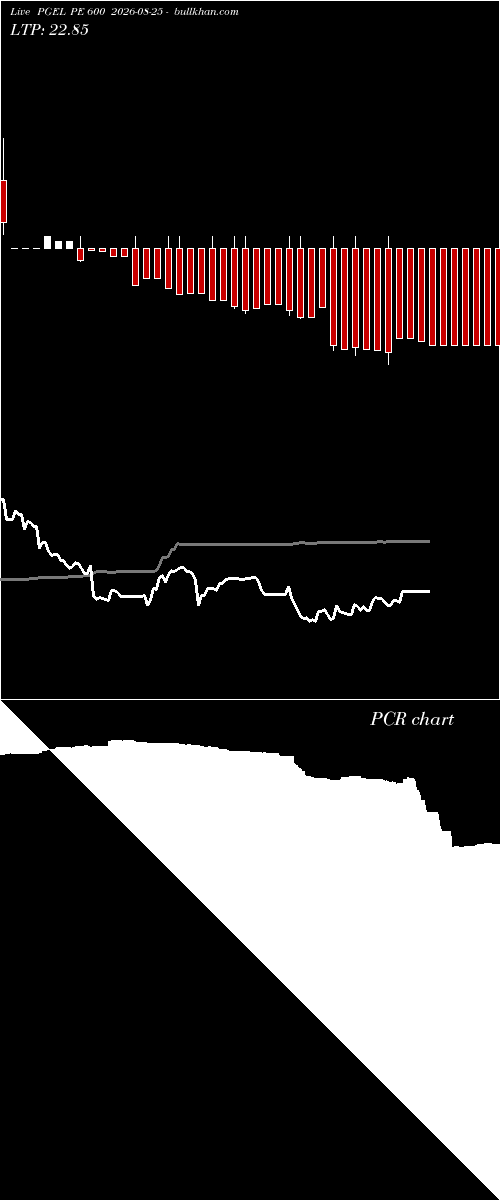  option chart PGEL PE 600 2026-08-25 