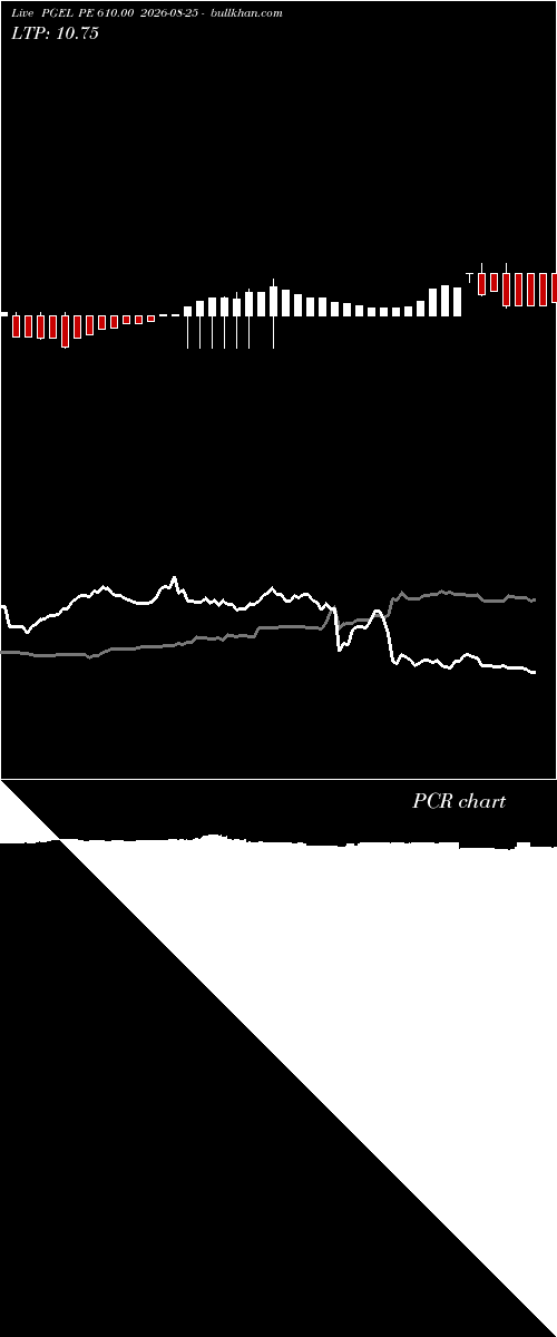  option chart PGEL PE 610.00 2026-08-25 