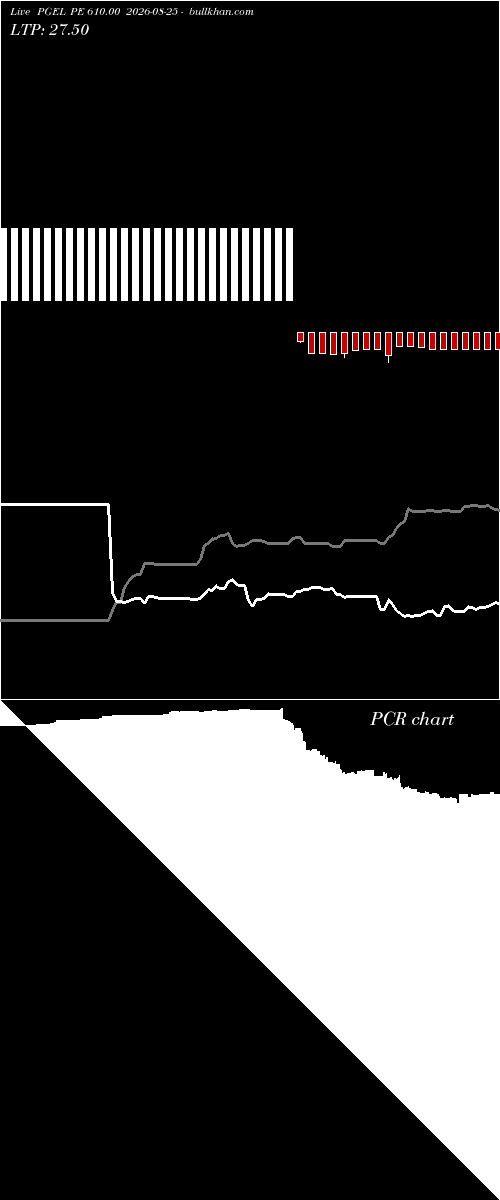  option chart PGEL PE 610.00 2026-08-25 