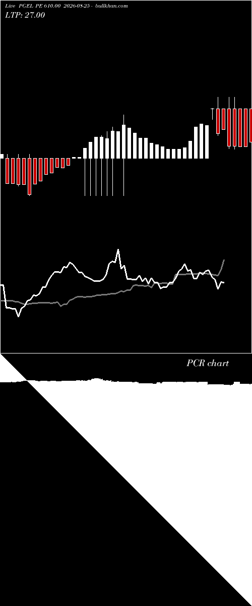  option chart PGEL PE 610.00 2026-08-25 
