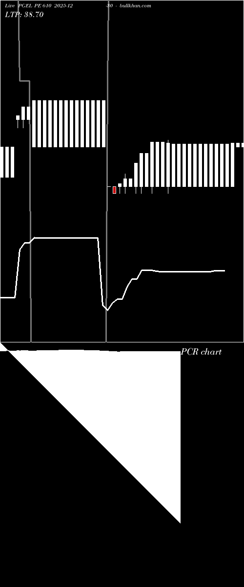  option chart PGEL PE 610 2025-12-30 