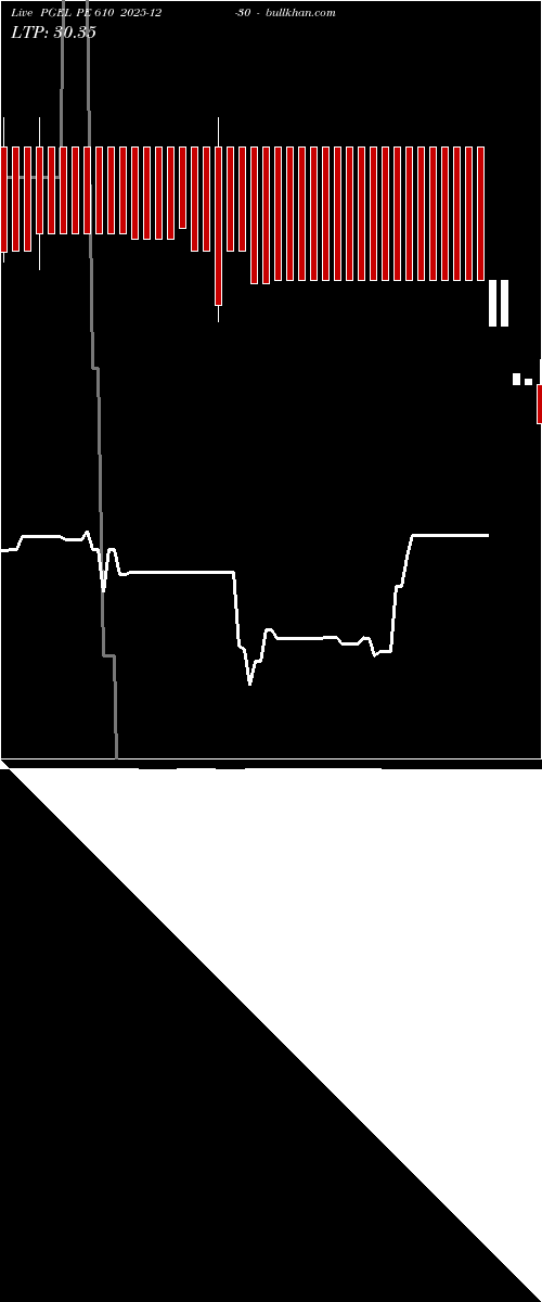  option chart PGEL PE 610 2025-12-30 