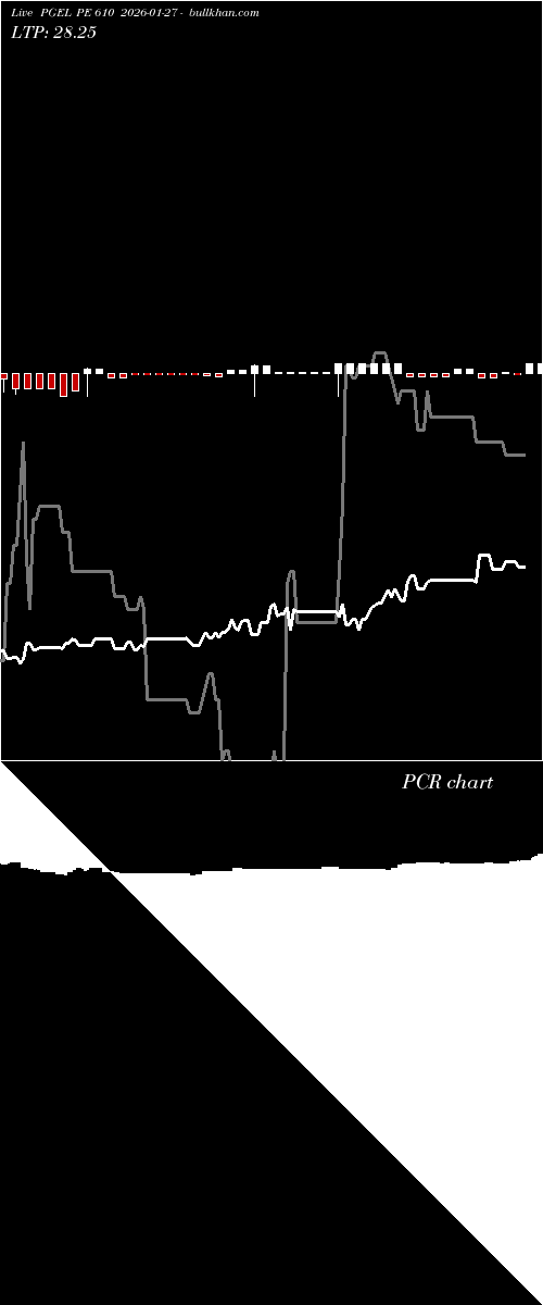  option chart PGEL PE 610 2026-01-27 