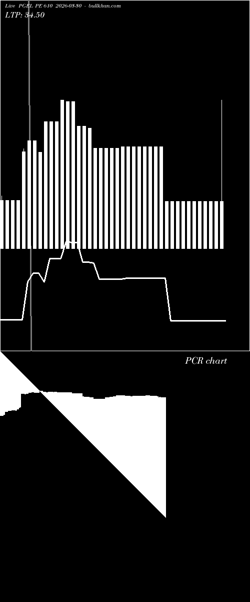  option chart PGEL PE 610 2026-03-30 