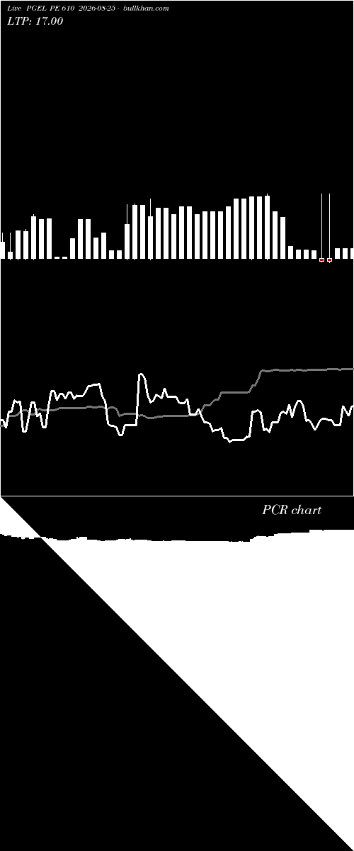  option chart PGEL PE 610 2026-08-25 