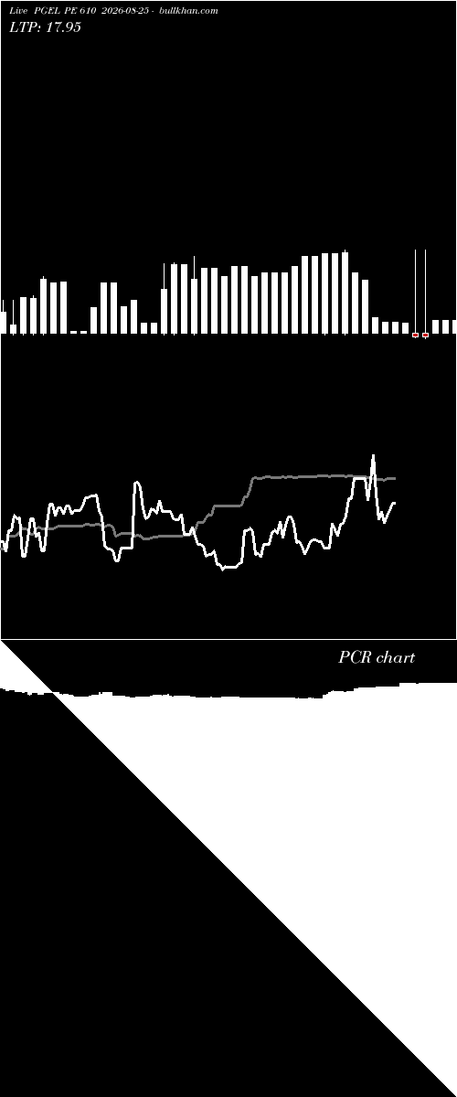  option chart PGEL PE 610 2026-08-25 