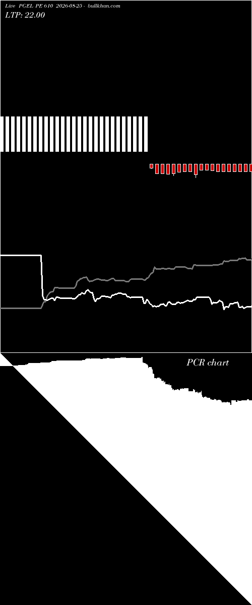  option chart PGEL PE 610 2026-08-25 