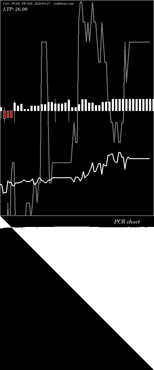  option chart PGEL PE 620 2026-01-27 