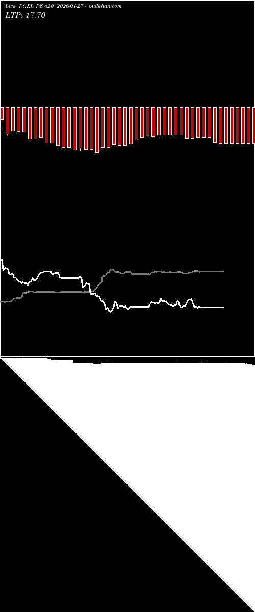  option chart PGEL PE 620 2026-01-27 