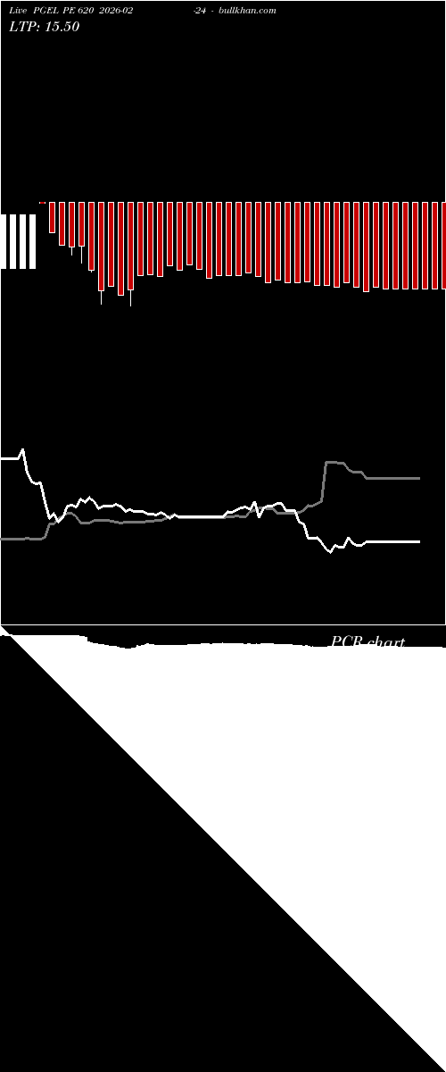  option chart PGEL PE 620 2026-02-24 