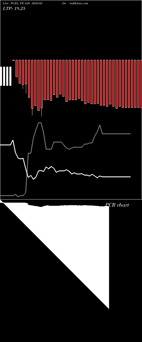  option chart PGEL PE 620 2026-02-24 