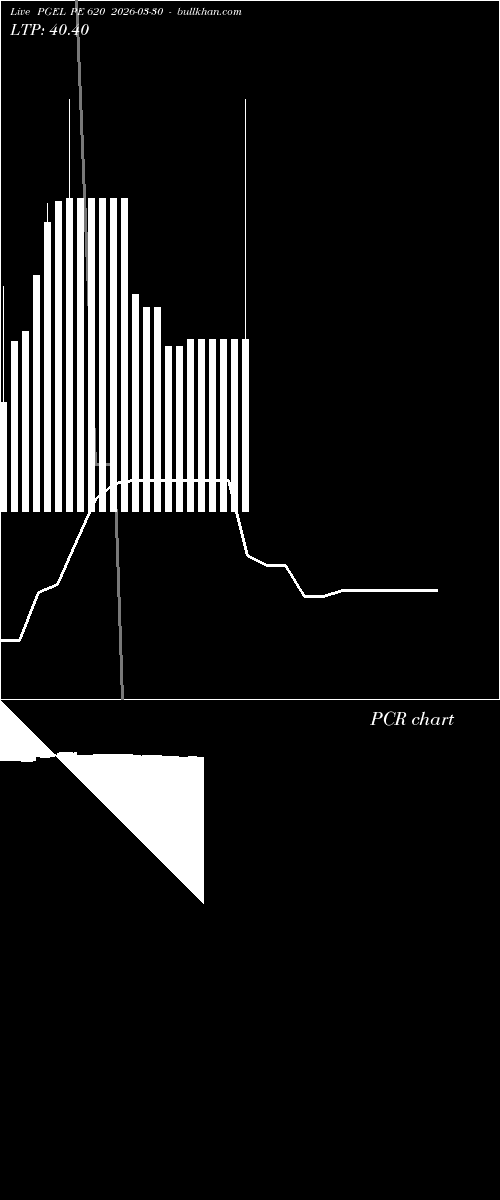  option chart PGEL PE 620 2026-03-30 