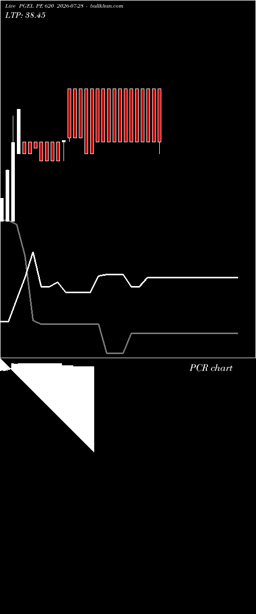  option chart PGEL PE 620 2026-07-28 
