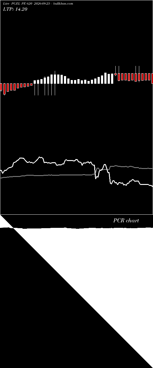  option chart PGEL PE 620 2026-08-25 