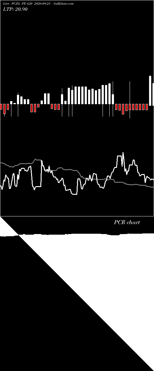  option chart PGEL PE 620 2026-08-25 