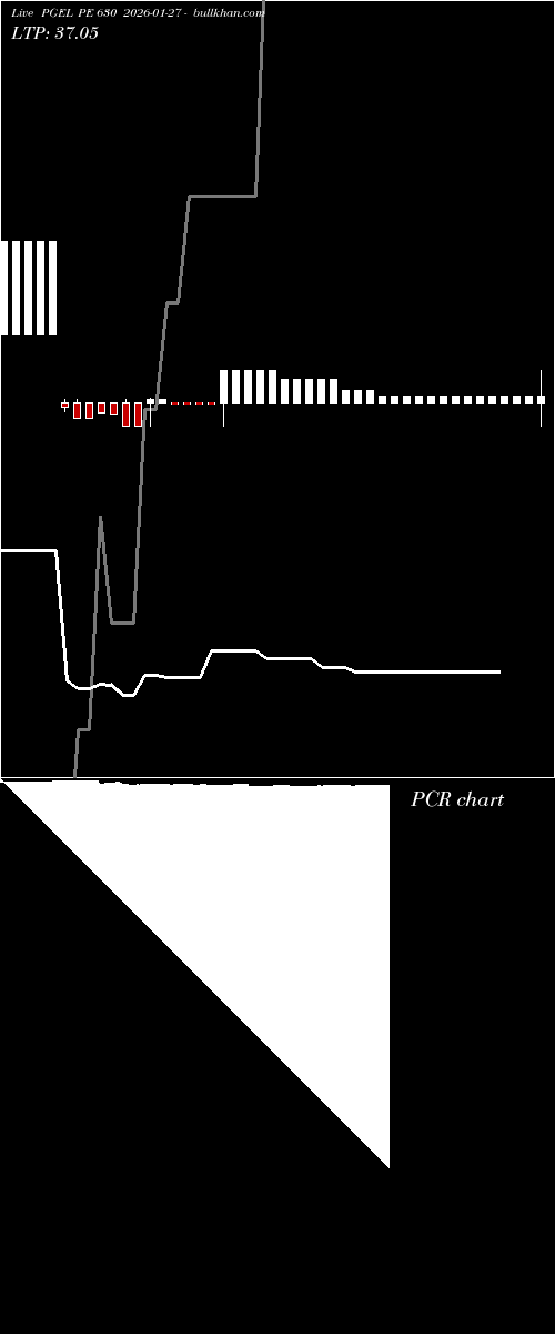  option chart PGEL PE 630 2026-01-27 