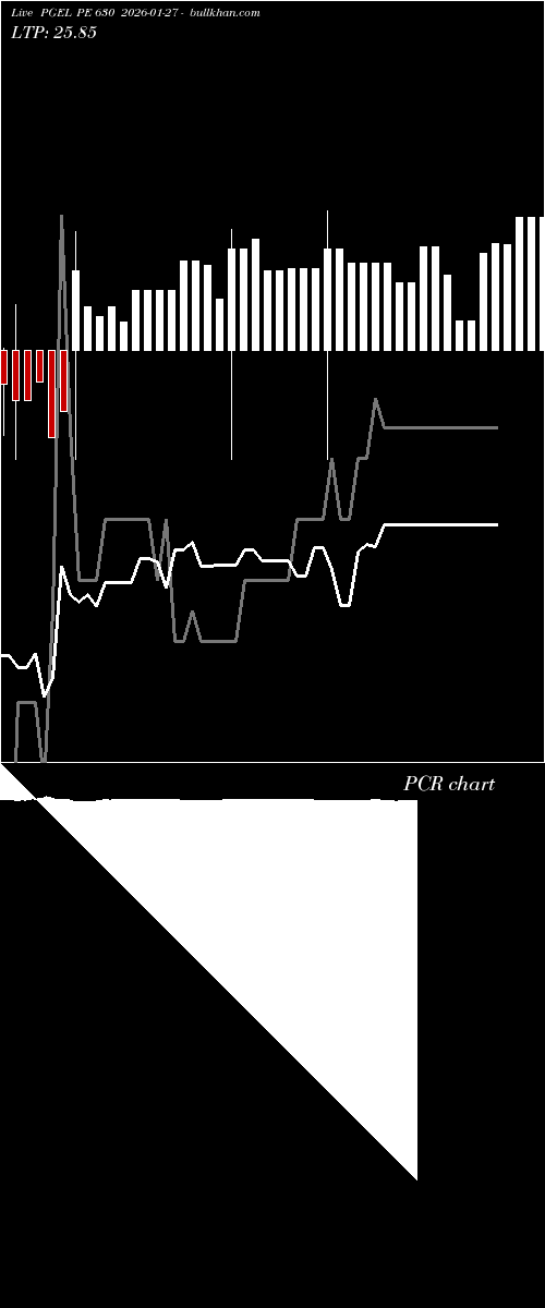  option chart PGEL PE 630 2026-01-27 