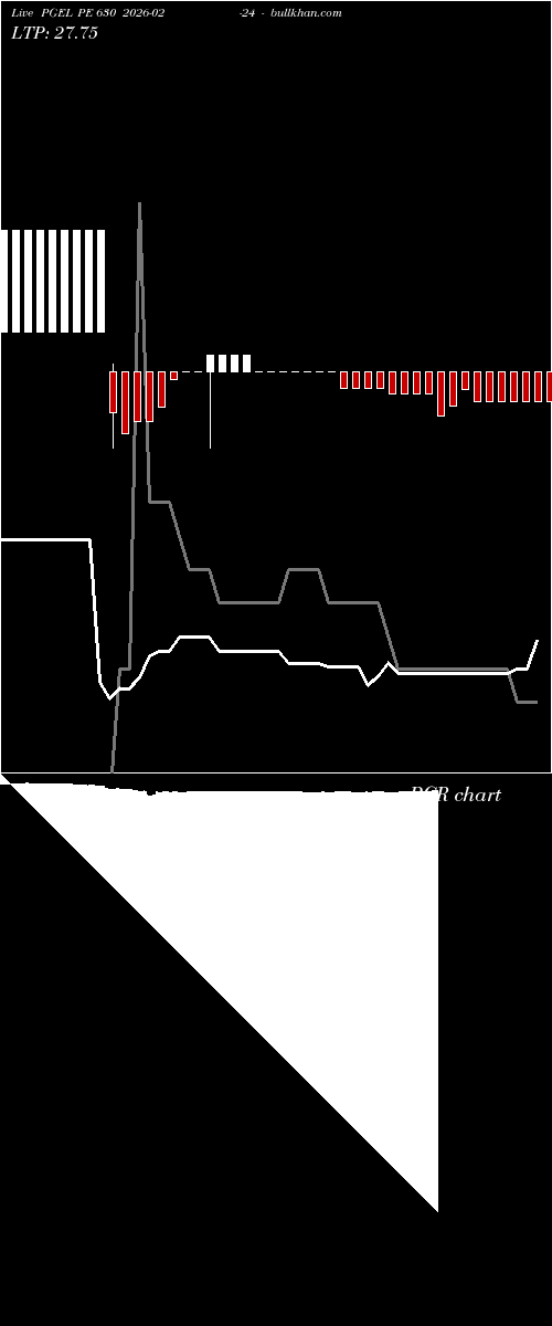  option chart PGEL PE 630 2026-02-24 
