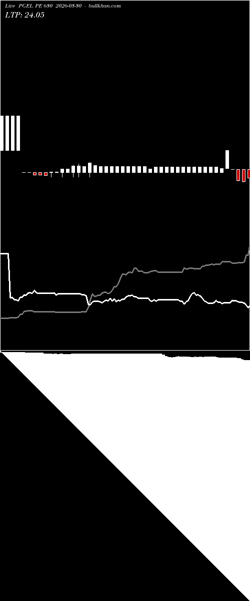  option chart PGEL PE 630 2026-03-30 