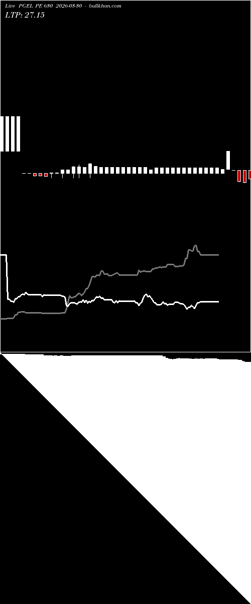  option chart PGEL PE 630 2026-03-30 