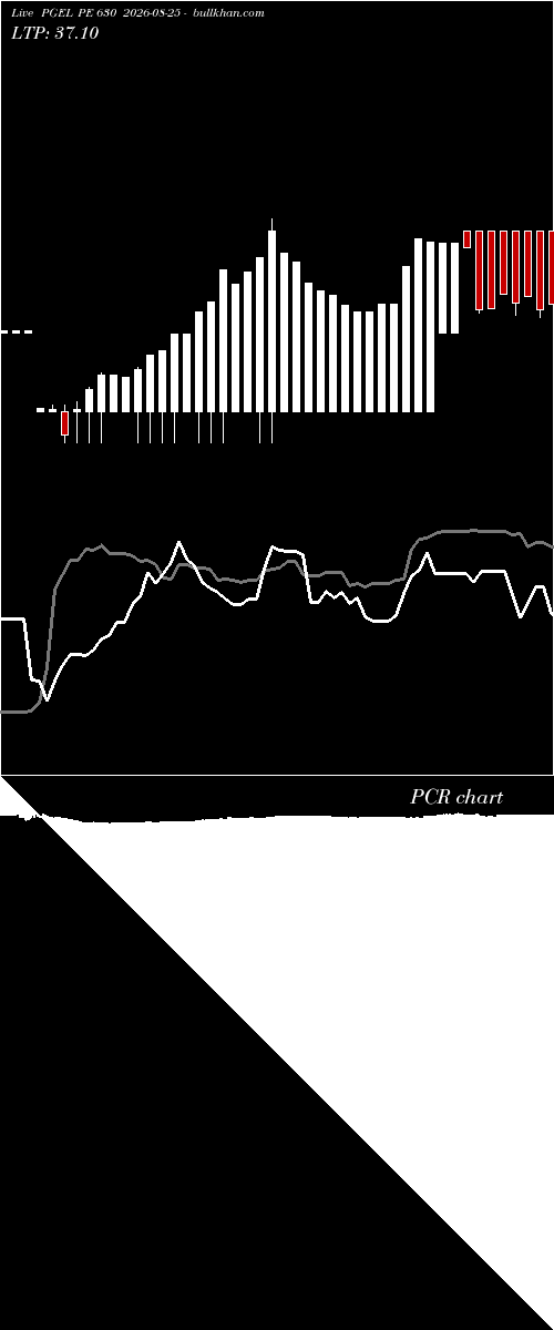  option chart PGEL PE 630 2026-08-25 