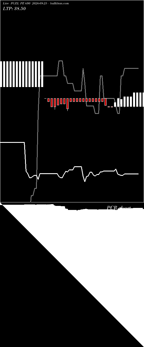 option chart PGEL PE 630 2026-08-25 