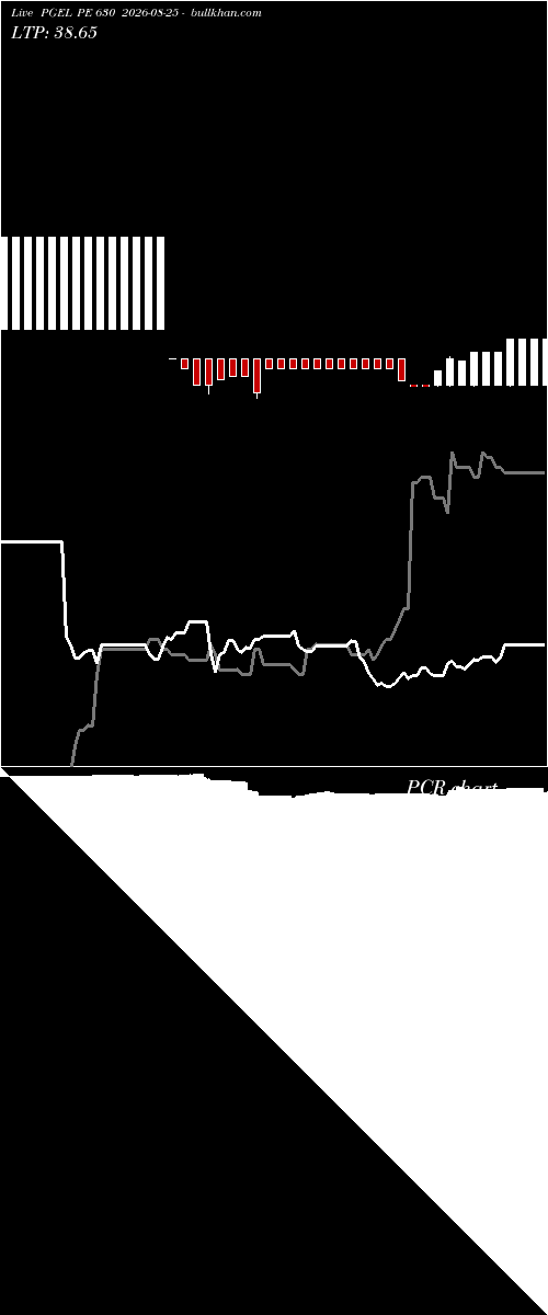  option chart PGEL PE 630 2026-08-25 