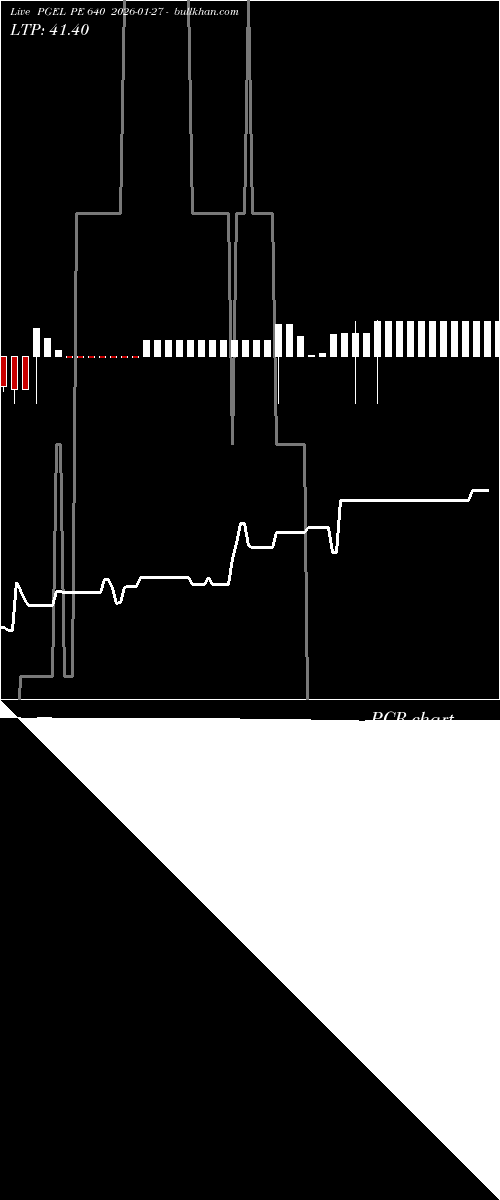  option chart PGEL PE 640 2026-01-27 