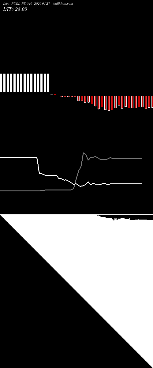  option chart PGEL PE 640 2026-01-27 