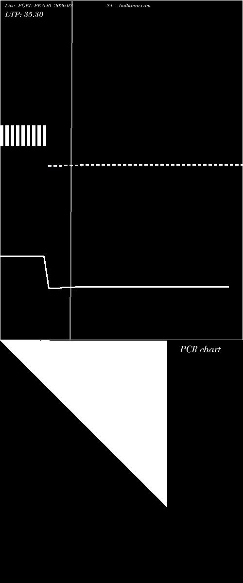  option chart PGEL PE 640 2026-02-24 