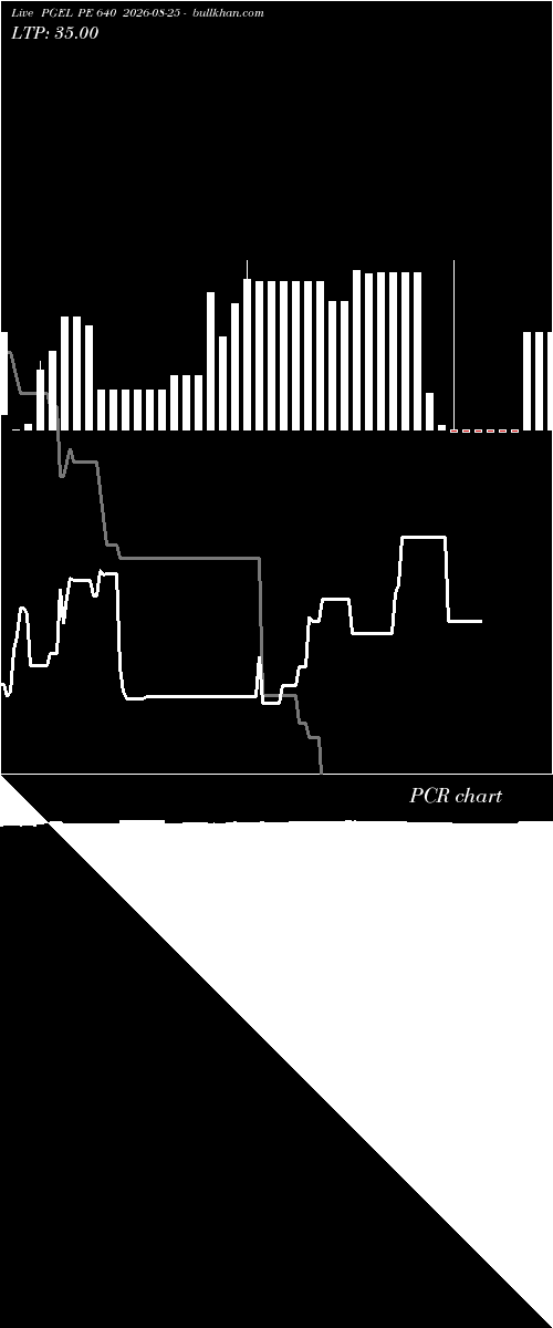  option chart PGEL PE 640 2026-08-25 