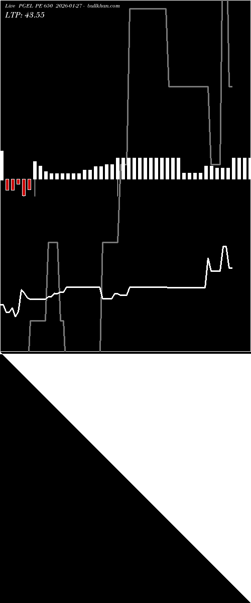  option chart PGEL PE 650 2026-01-27 
