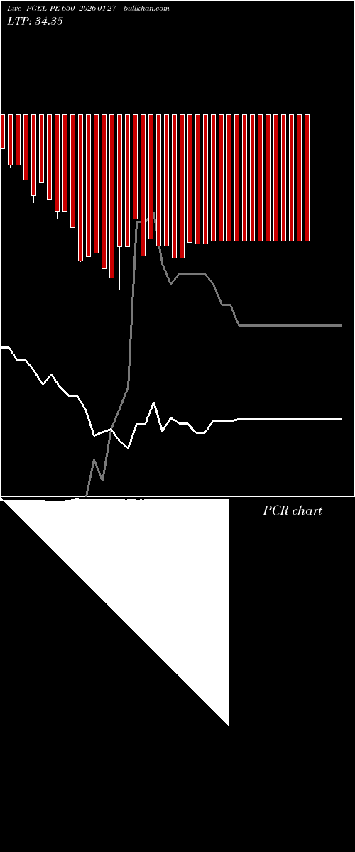  option chart PGEL PE 650 2026-01-27 