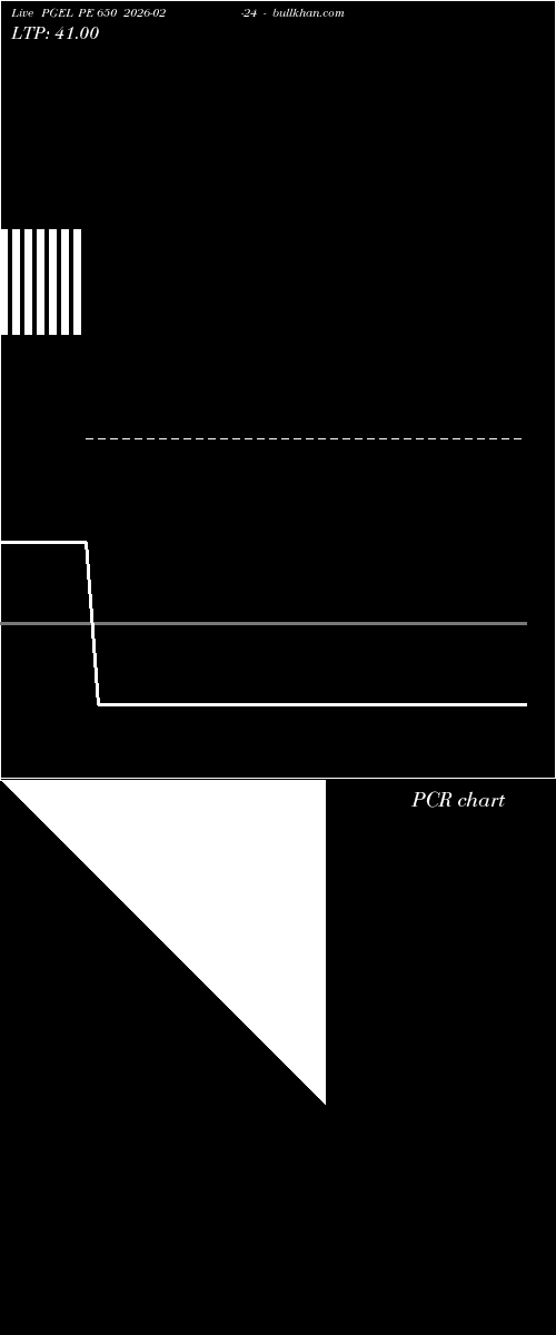  option chart PGEL PE 650 2026-02-24 