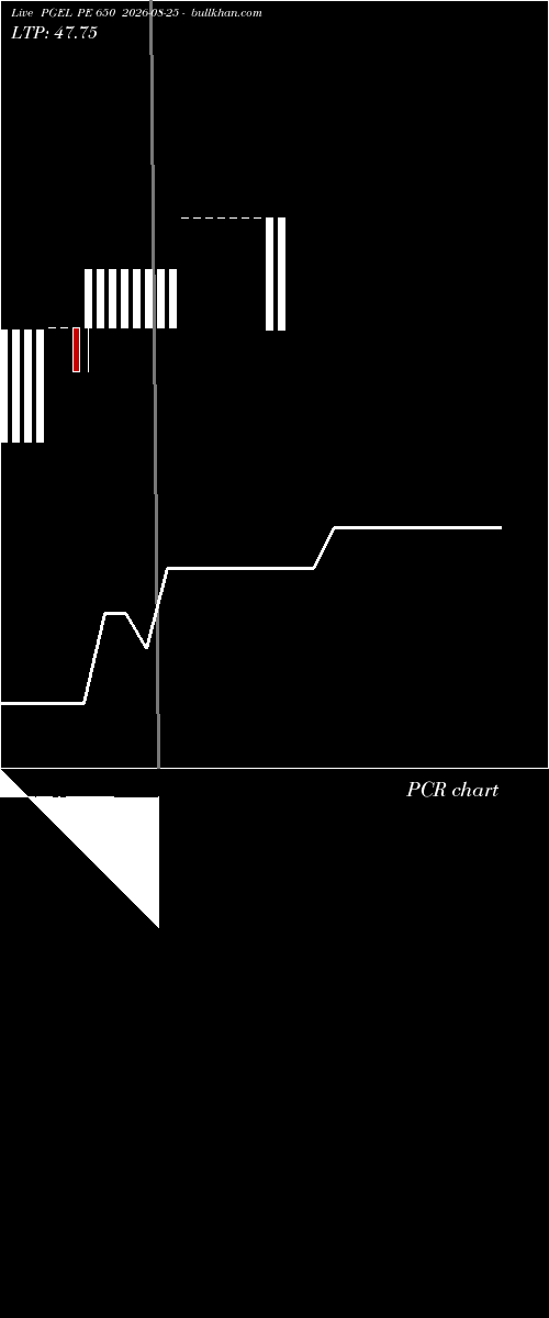  option chart PGEL PE 650 2026-08-25 