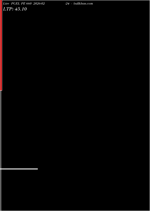  option chart PGEL PE 660 2026-02-24 