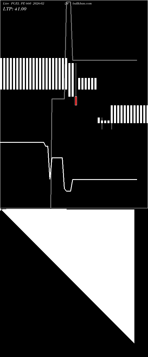  option chart PGEL PE 660 2026-02-24 