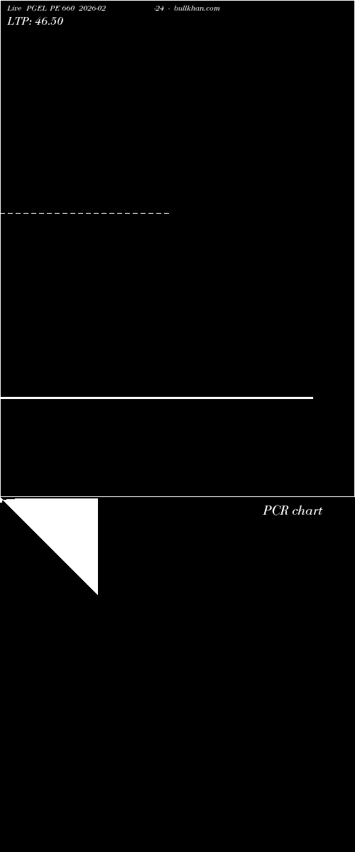  option chart PGEL PE 660 2026-02-24 