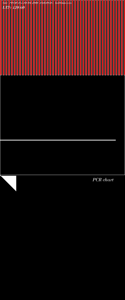  option chart PHOENIXLTD PE 2000 2026-09-29 