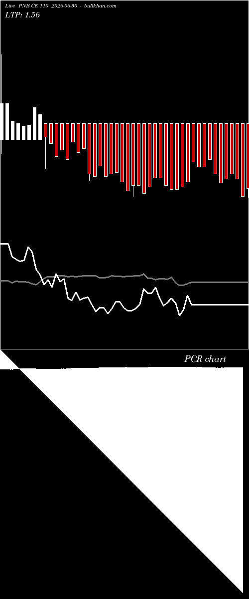 option chart PNB CE 110 2026-06-30 