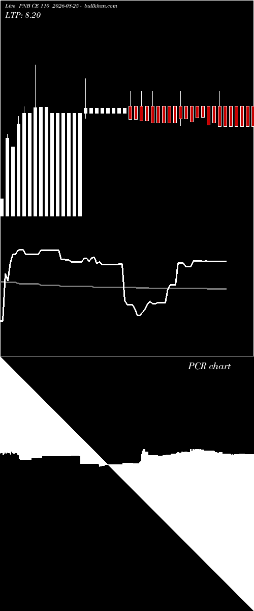  option chart PNB CE 110 2026-08-25 