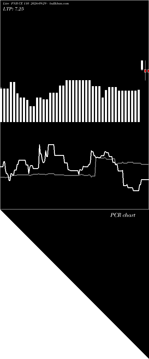  option chart PNB CE 110 2026-09-29 
