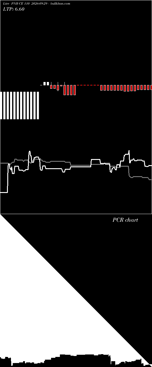  option chart PNB CE 110 2026-09-29 