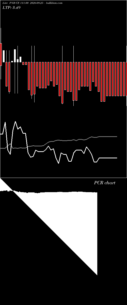  option chart PNB CE 111.00 2026-08-25 