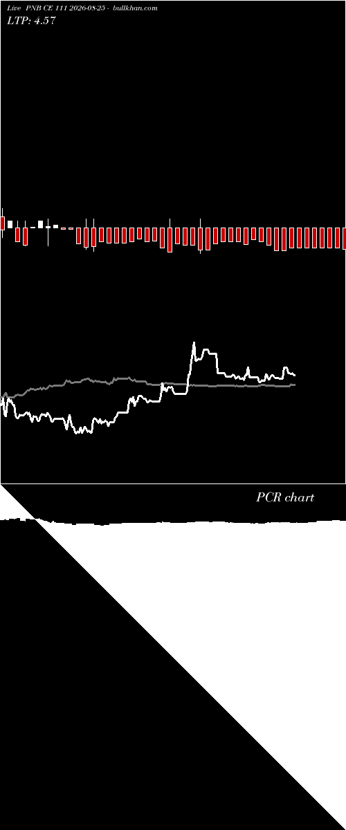  option chart PNB CE 111 2026-08-25 