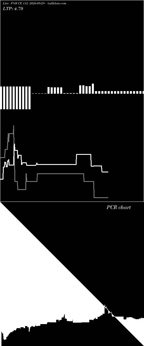  option chart PNB CE 112 2026-09-29 