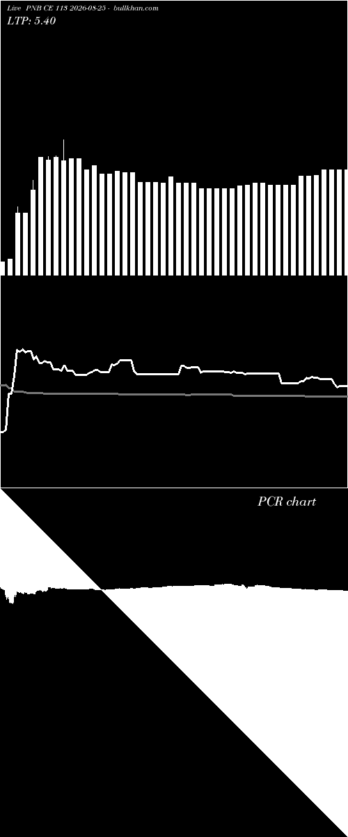  option chart PNB CE 113 2026-08-25 