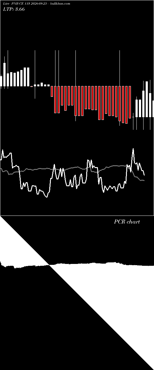  option chart PNB CE 113 2026-08-25 